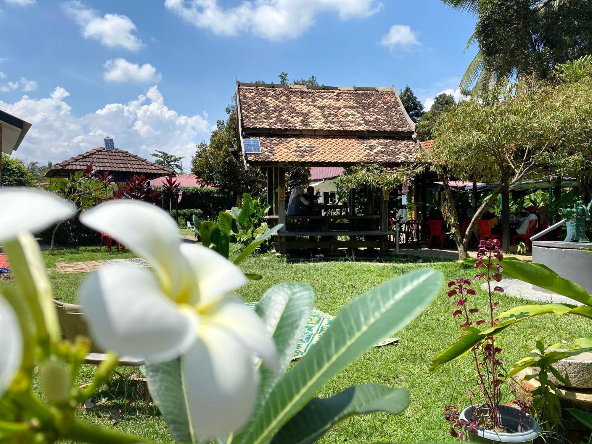 Kebun Puisi Vila Kajang Exterior foto